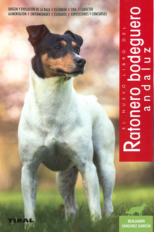 Ratonero Bodeguero Andaluz