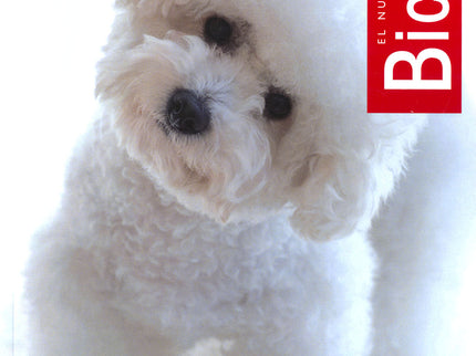 Bichón
