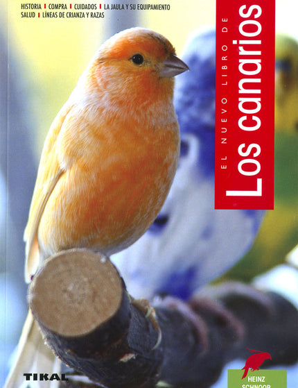 Collection image for: Aves, incluidas las aves de jaula, como mascotas
