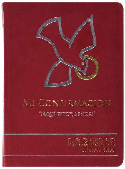 Libro Biblia Latinoam. Letra Grande Simil Piel Firmacion: Edición especial de La Biblia Latinoamérica con cubierta en sí