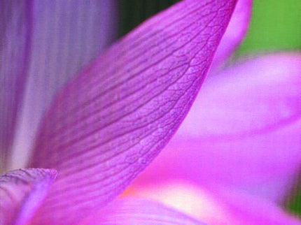 Libro Karma Yoga: .