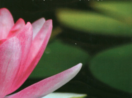 Portada del libro Bhakti Yoga