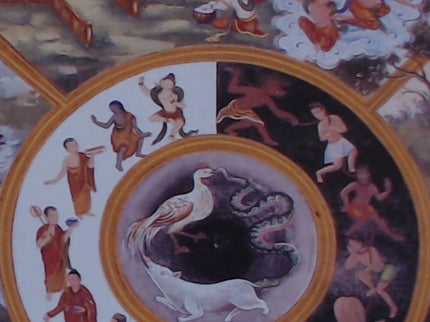 Portada del libro Samsâra