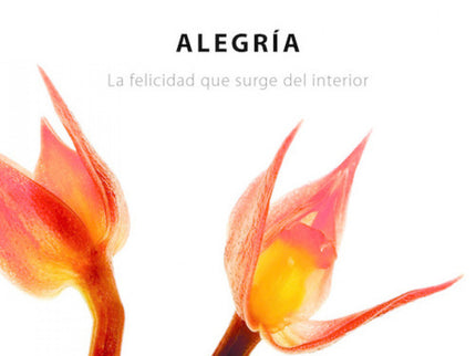 Libro Alegría: Si la felicidad, como nos enseña Osho, es la naturaleza básica de la vida, la alegría es su dimensión esp