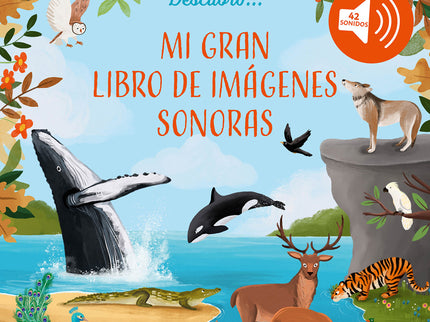 Mi Gran Libro De Imágenes Sonoras
