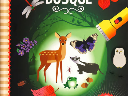 Exploración Por El Bosque