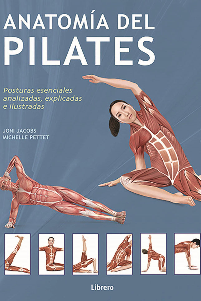 Anatomia Del Pilates