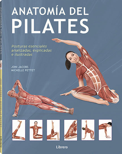 Anatomia Del Pilates