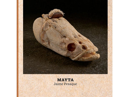 MAYTA - Jaime Pesaque - CartonÃ©