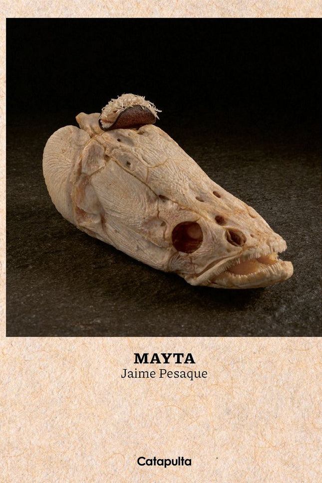 MAYTA - Jaime Pesaque - CartonÃ©