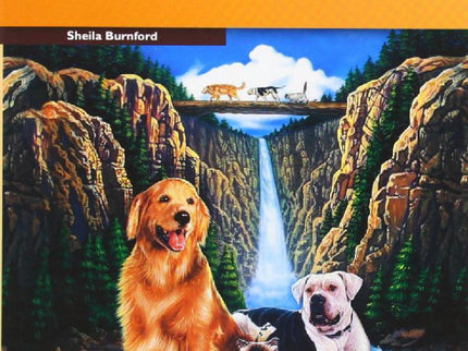 Libro The Increible Journey: .