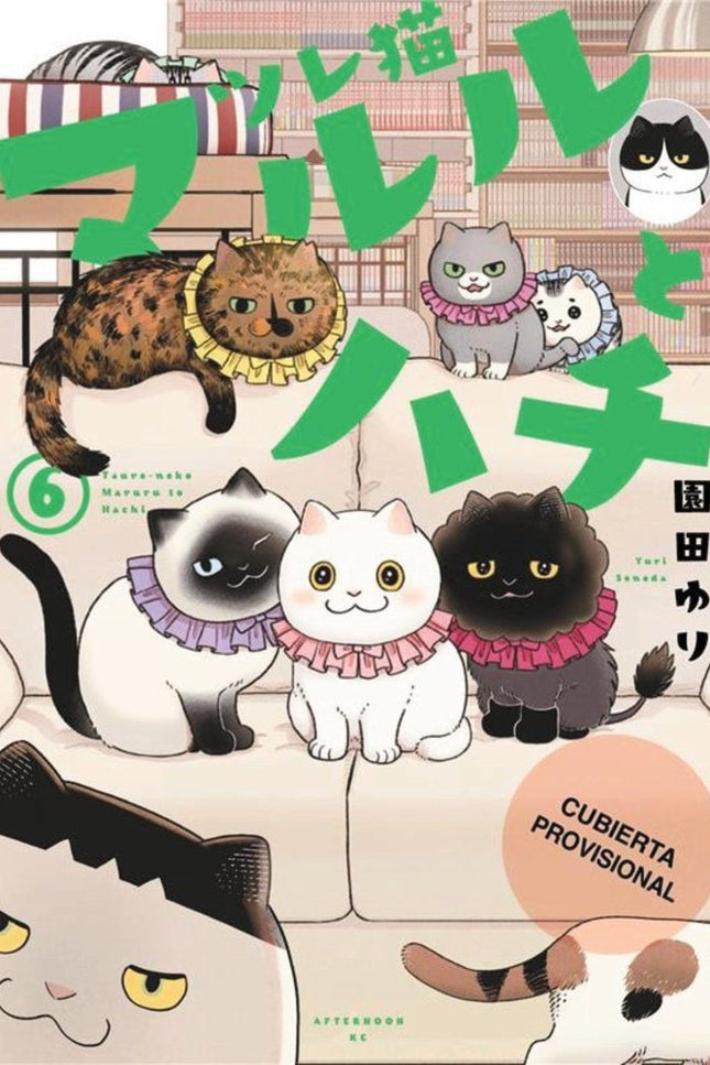 Los amigatos Hachi y Maruru, 6 - Yuri Sonoda - CartonÃ©