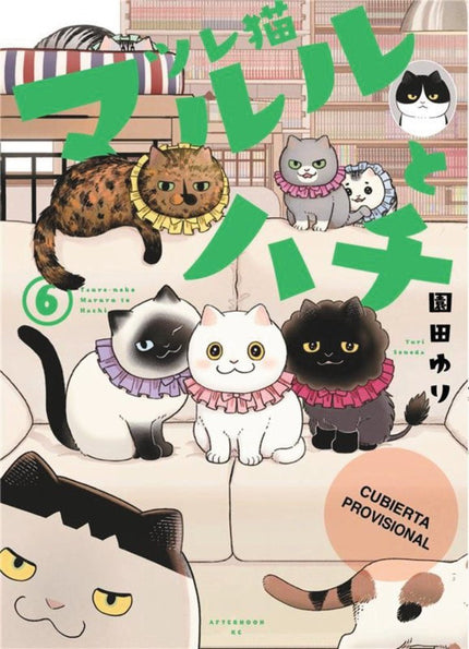 Los amigatos Hachi y Maruru, 6 - Yuri Sonoda - CartonÃ©