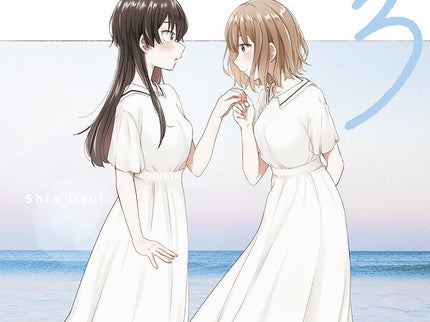UN MATRIMONIO ENTRE AMIGAS 03 - Shio Usui - Bolsillo