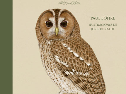 Rapaces Que Vuelan En El Día Y En La Noche