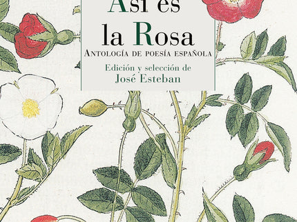 Así Es La Rosa