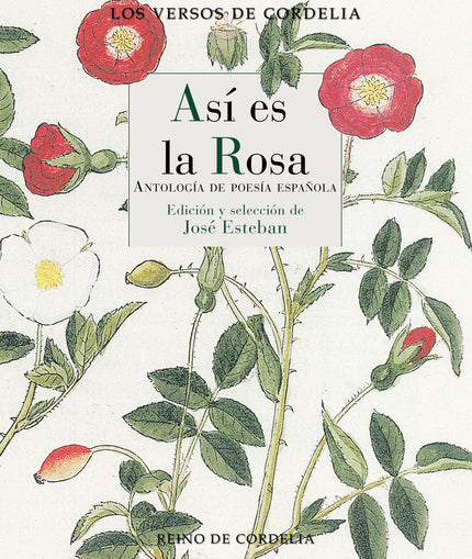 Así Es La Rosa