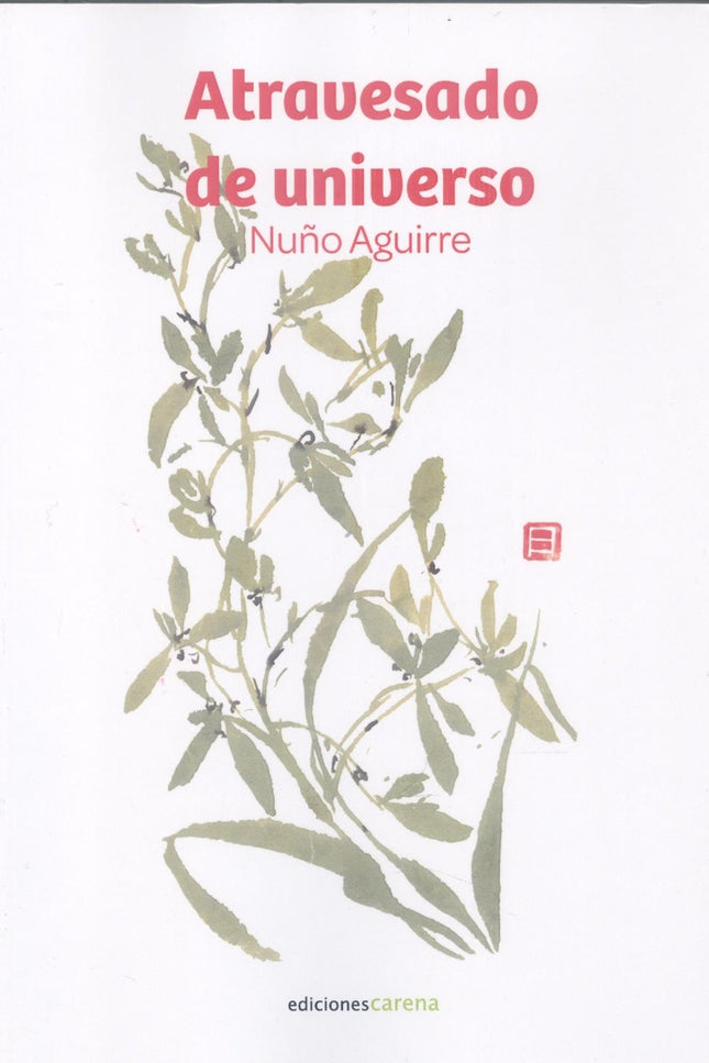 Atravesado De Universo