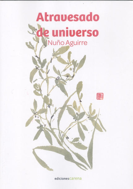 Atravesado De Universo