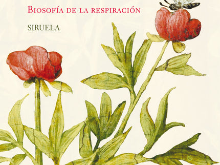 El Puente Donde Habitan Las Mariposas