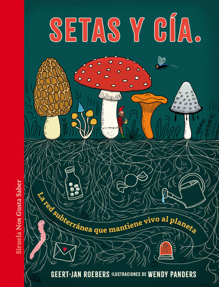 Setas Y Cía.