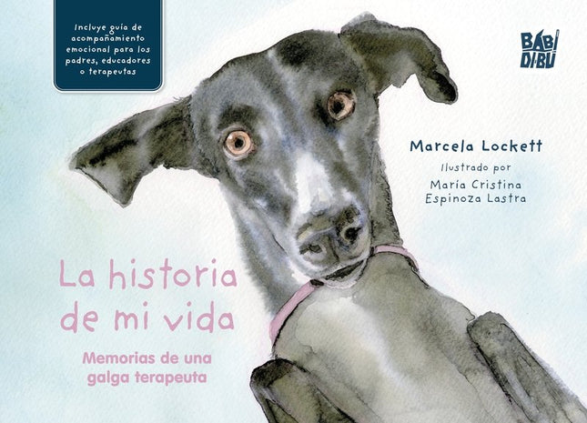La Historia De Mi Vida