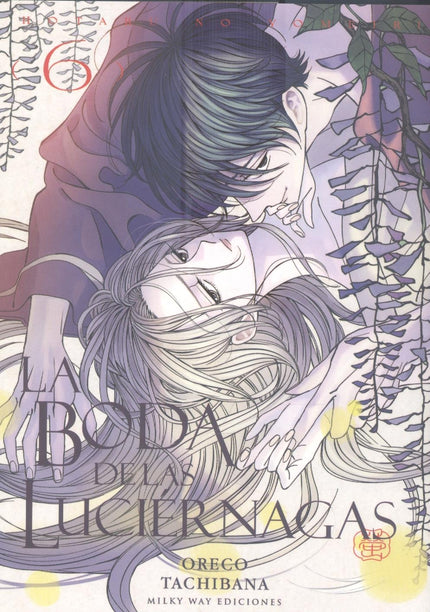 La Boda De Las Luciérnagas 06