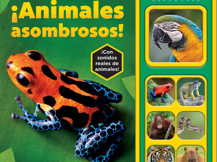 Animales Asombrosos! National Geographic Kids