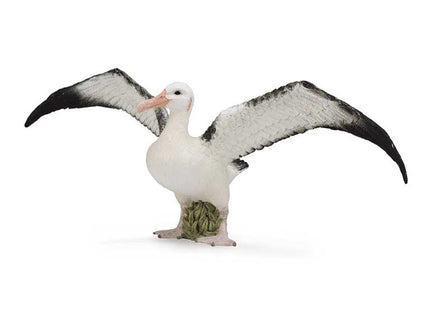 ALBATROS ERRANTE - L - 88765 - COLLECTA