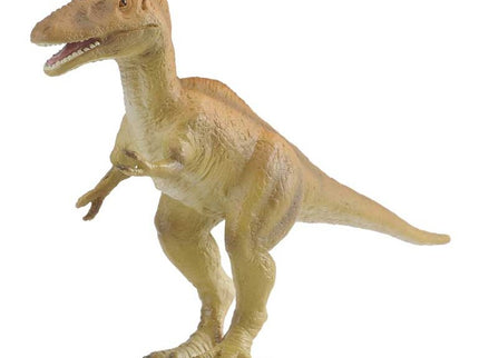 ALIORAMUS -L- 88254 COLLECTA