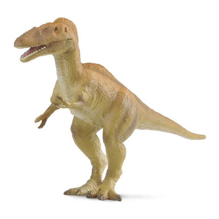 ALIORAMUS -L- 88254 COLLECTA