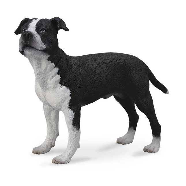 AMERICAN STAFFORDSHIRE TERRIER -L- 88610 COLLECTA