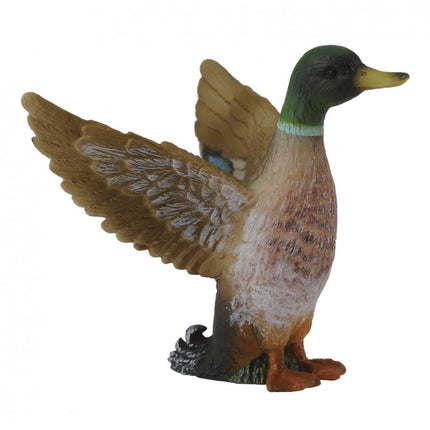 ÁNADE REAL (MACHO) - S - 88378 - COLLECTA