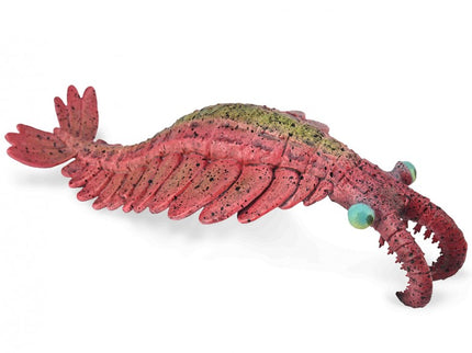 ANOMALOCARIS - L - 88977 - COLLECTA