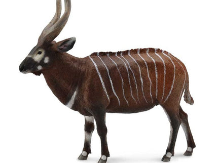 ANTILOPE BONGO - XL - 88809 - COLLECTA