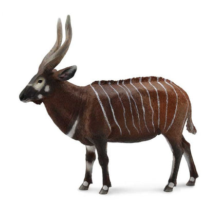 ANTILOPE BONGO - XL - 88809 - COLLECTA