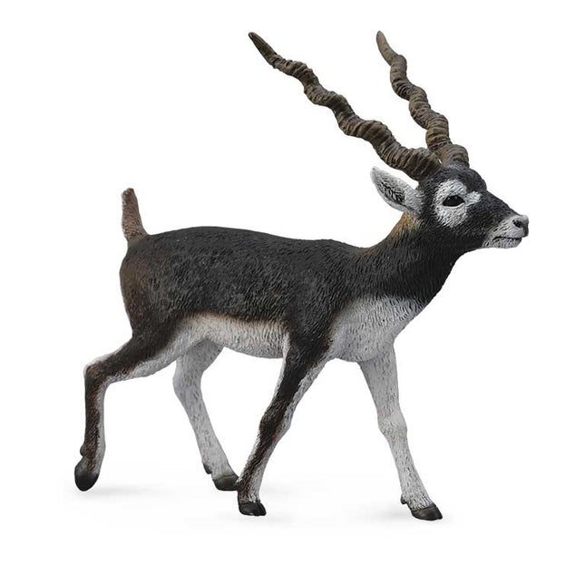 ANTILOPE DE CUELLO NEGRO (SASIN) -L- 88638 COLLECTA