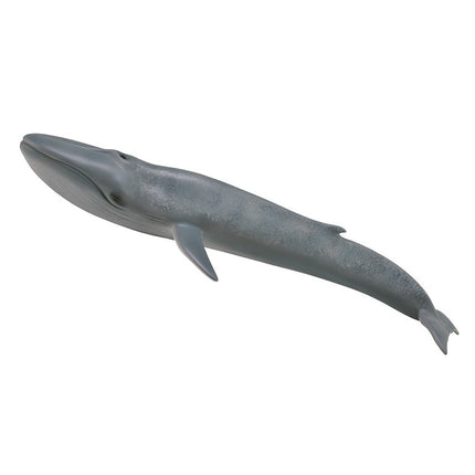 BALLENA AZUL - XL - 88834 - COLLECTA