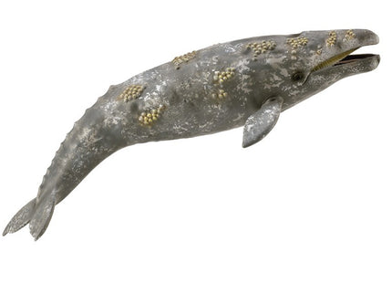 BALLENA GRIS - XL - 888836 - COLLECTA