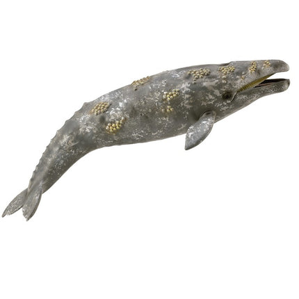 BALLENA GRIS - XL - 888836 - COLLECTA