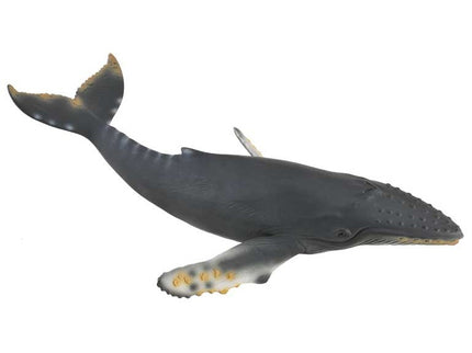 BALLENA JOROBADA -XL- 88347 COLLECTA