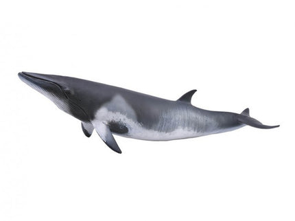 BALLENA MINKE - XL - 88862 - COLLECTA