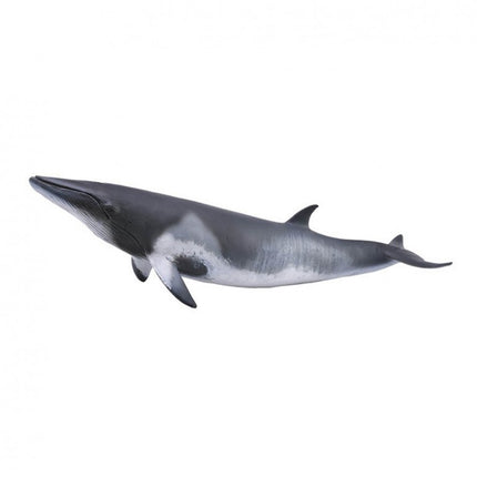 BALLENA MINKE - XL - 88862 - COLLECTA