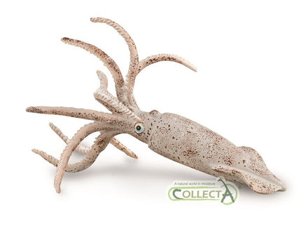 BELEMNITE - L - 88904 - COLLECTA