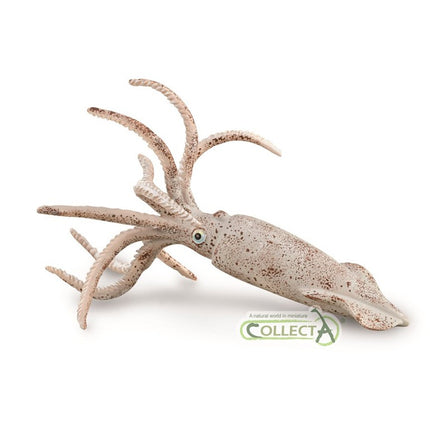 BELEMNITE - L - 88904 - COLLECTA