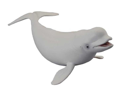 BELUGA -L- 88568 COLLECTA