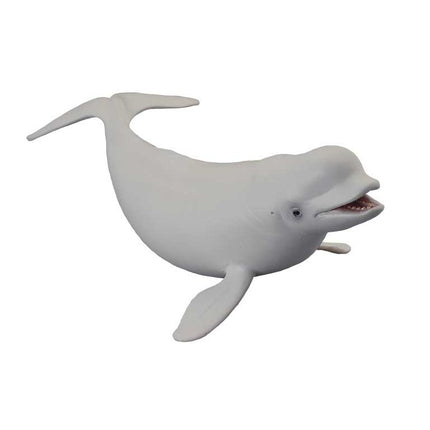 BELUGA -L- 88568 COLLECTA
