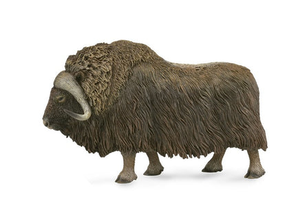 BUEY ALMEZCLERO - L - 88837 - COLLECTA