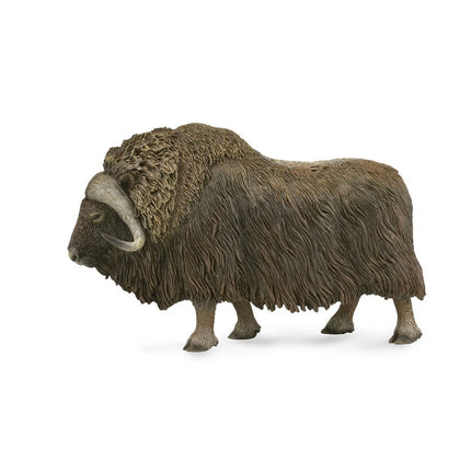 BUEY ALMEZCLERO - L - 88837 - COLLECTA