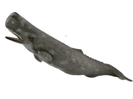 CACHALOTE - XL - 88835 - COLLECTA